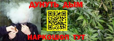 винт Краснодар