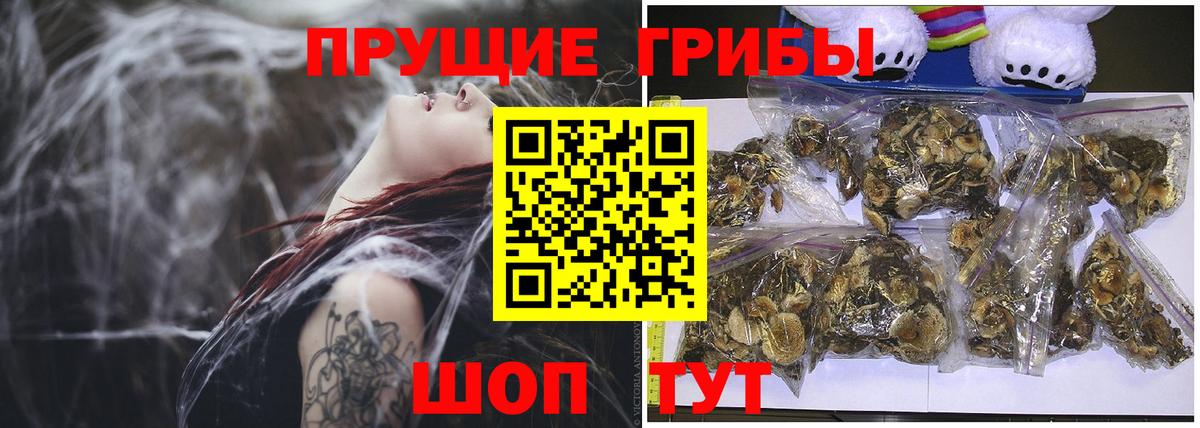 Псилоцибиновые грибы мицелий Жигулёвск